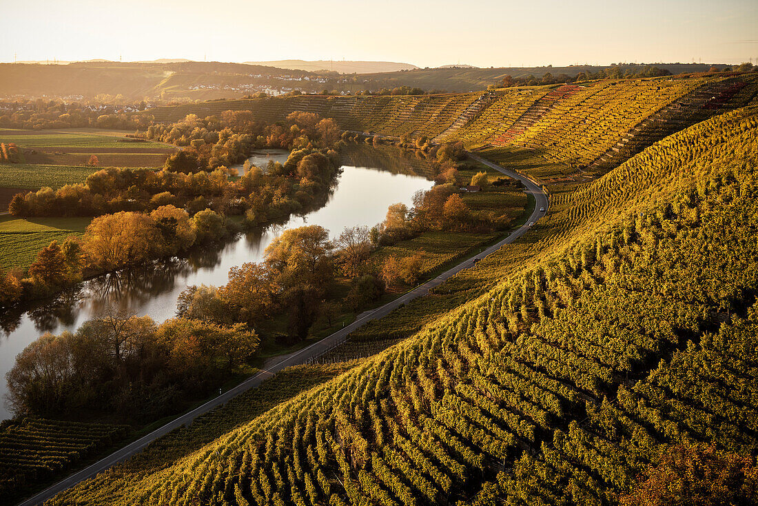 the Neckar river sneaks his way along climbing and wine growing region of Hessigheim, Ludwigsburg District, Baden-Wuerttemberg, Germany