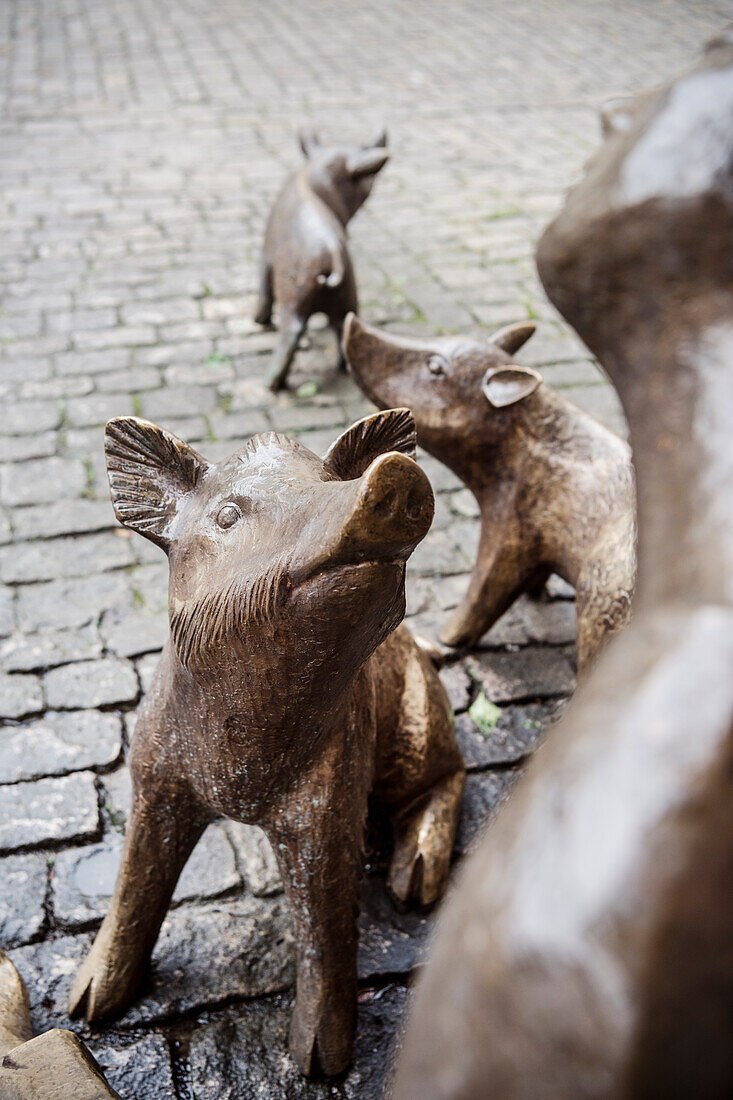 Schweine aus Bronze, Schweinfurt, Unterfranken, Bayern, Deutschland