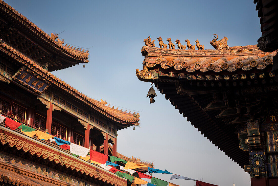 Detail vom Dach des Yonghe Tempel (auch bekannt als Lamatempel), Peking, China, Asien