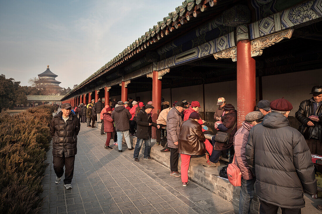 Ältere Chinesen spielen Karten am Himmelstempel, Himmelsaltar, Bezirk Chongwen, Peking, China, Asien, UNESCO Welterbe