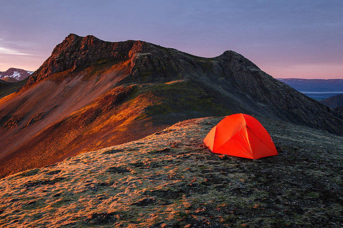 Orange tent on a mountain ridge in the warm morning light of the rising sun, Hofn, Vesturland, Iceland
