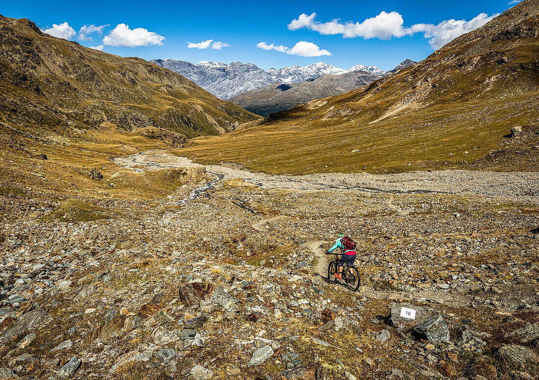 Young woman rides a mountainbike through a high alpine valley with clear blue sky, Bormio, Lombardia, Italy