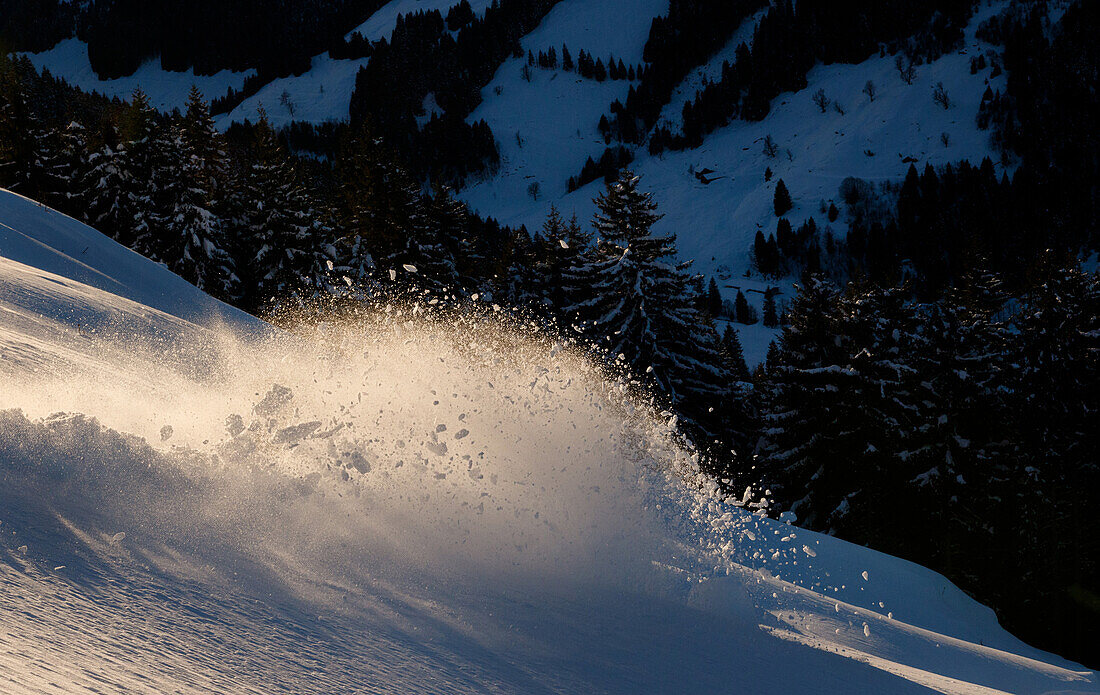 Aufgewirbelter Schnee eines Skifahrers im Abendlicht, Langer Grund, Kelchsau, Kitzbühler Alpen, Tirol, Österreich