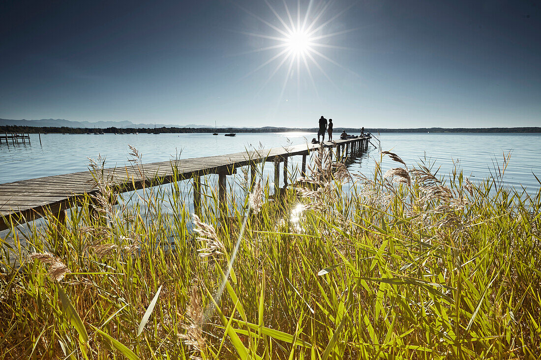 Seeufer am Kleinen Seehaus , St.Heinrich, Starnberger See, Bayern, Deutschland