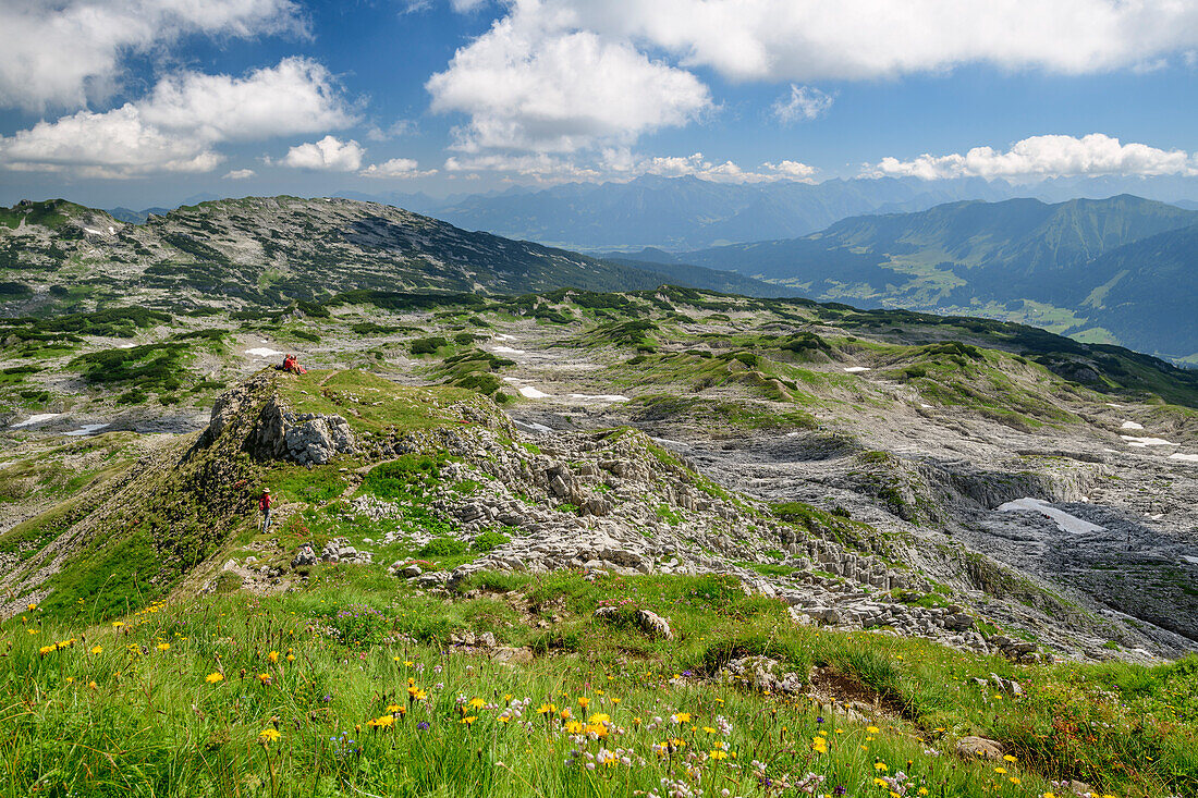 Meadow with flowers in front of plateau Gottesackerplateau, Allgaeu Alps, valley of Walsertal, Vorarlberg, Austria