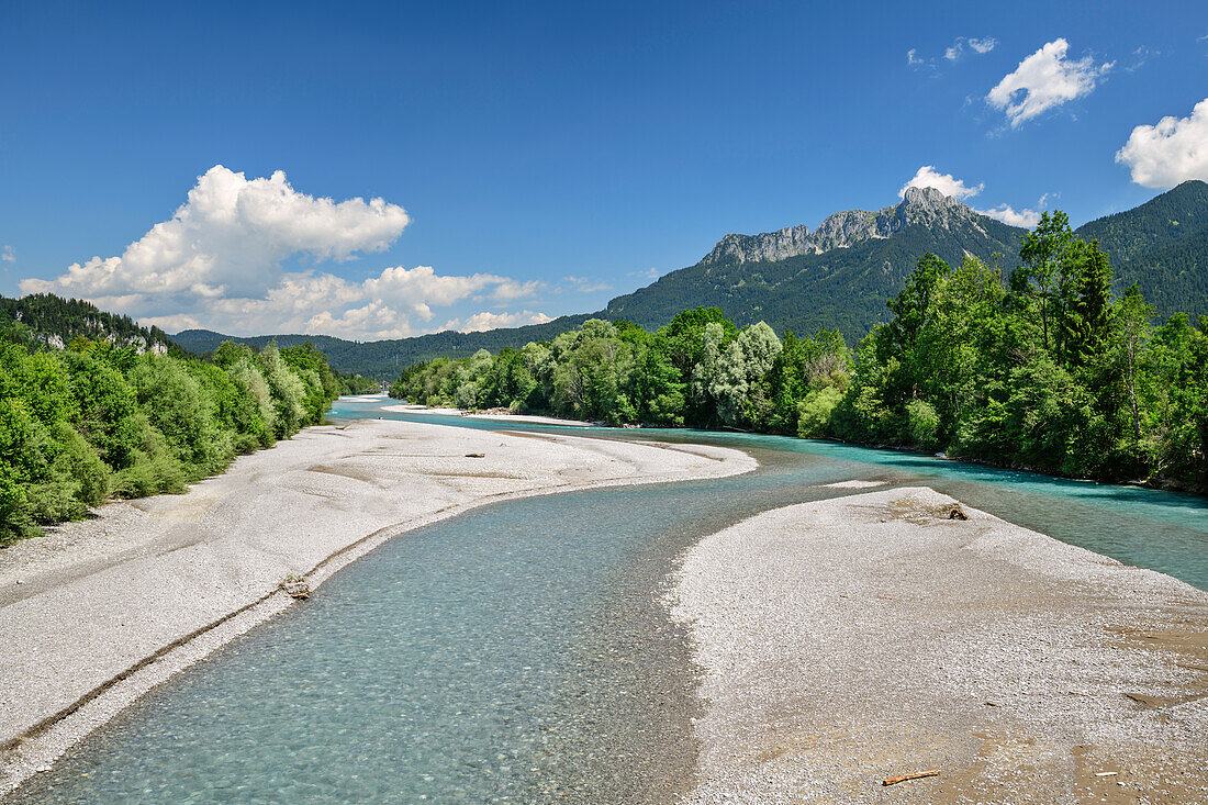 Lech mit Säuling im Hintergrund, Lechweg, Reutte, Lechtal, Tirol, Österreich