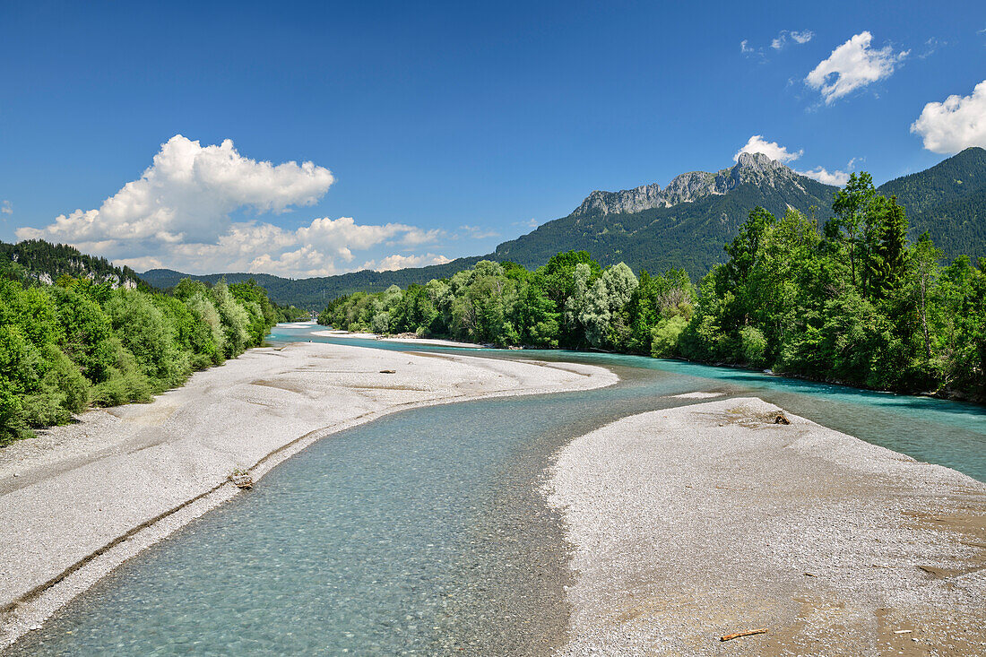 River Lech with Saeuling in background, Lechweg, Reutte, valley of Lech, Tyrol, Austria