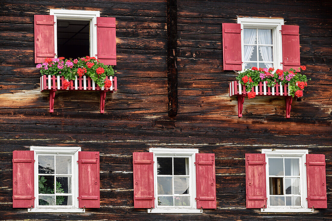 Windows at old Walser farmhouse, farmhouse, Warth, Lechweg, valley of Lech, Tyrol, Austria