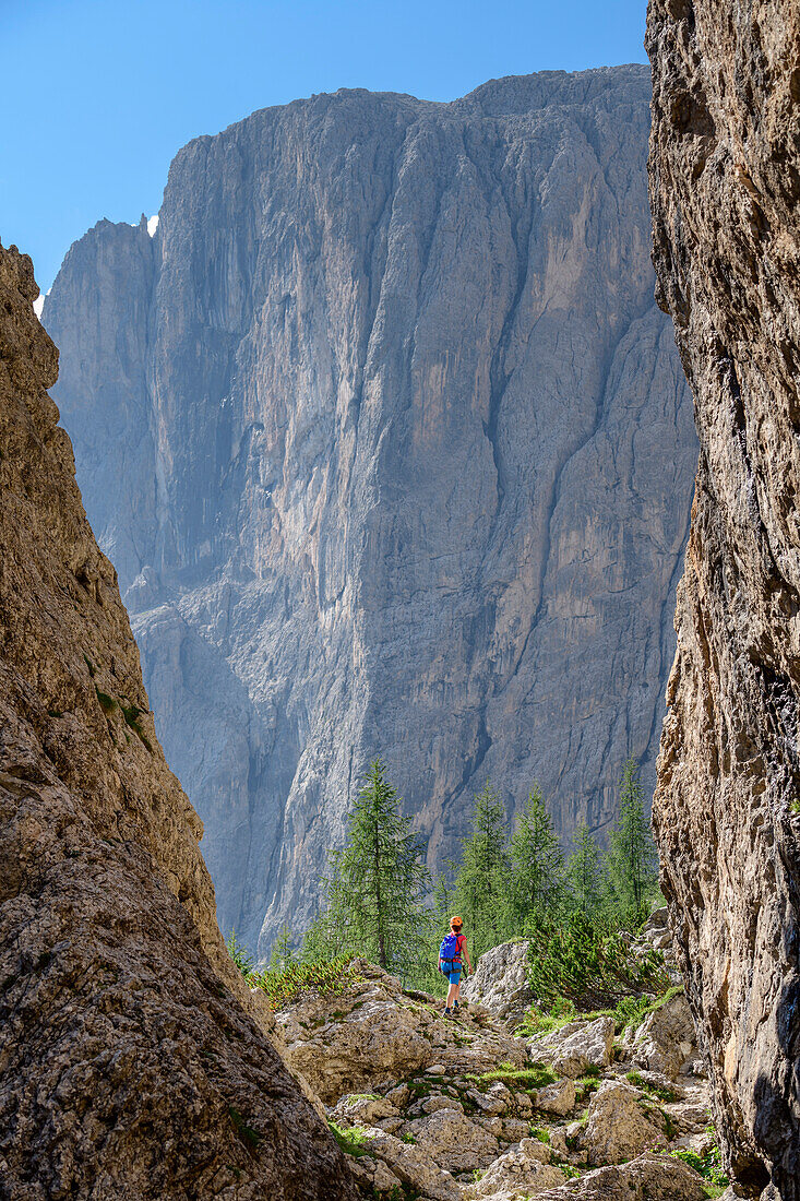 Frau steigt zwischen Felstürmen zum Pisciadu-Klettersteig auf, Pisciadu-Klettersteig, Sella, Dolomiten, UNESCO Welterbe Dolomiten, Südtirol, Italien