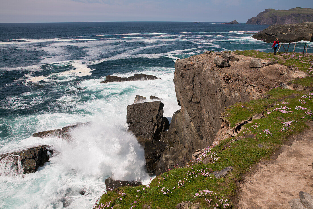 A woman stands along rocks and overlooks the Atlantic Ocean as spray from waves rages, seen from while walking the Dingle Way, Dingle Peninsula, County Kerry, Ireland, Europe