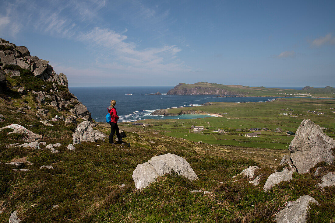 Wanderin auf felsigem Wanderweg mit Blick auf grüne Felder und auf die Küste, gesehen von einer Wanderung entlang dem Weitwanderweg Dingle Way, nahe Dunquin, Dingle Halbinsel, County Kerry, Irland, Europa