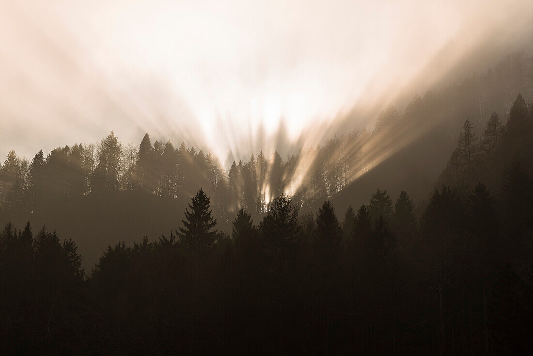 Sonnenstrahlen durchbrechen den Nebel im Triglav Nationalpark, Slowenien