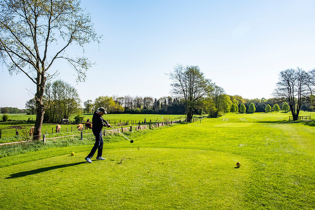 male golfer at the golfcourse in Holm near Hamburg, North Germany, Germany