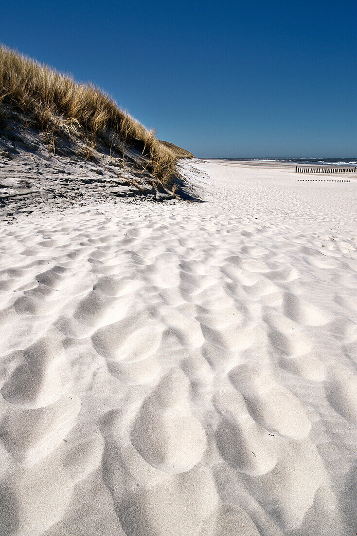 Strand, Sanddüne, Wangerooge, Ostfriesische Inseln, Landkreis Friesland, Niedersachsen, Deutschland, Europa