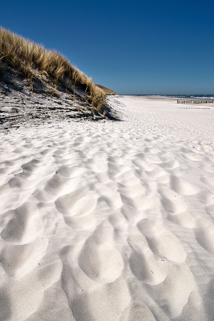 beach, sand dune, Wangerooge, East Frisian Islands, Friesland - district, Lower Saxony, Germany, Europe