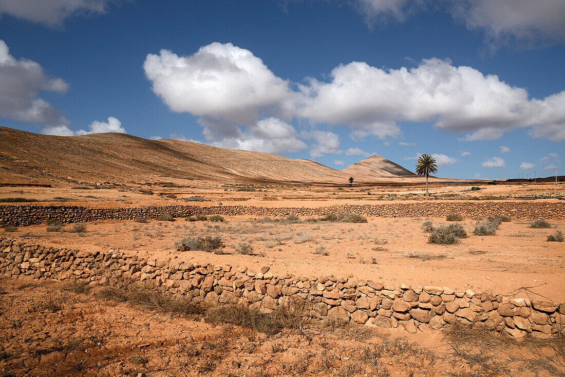 volcanic landscape, La Oliva, Fuerteventura, Spain, Europe