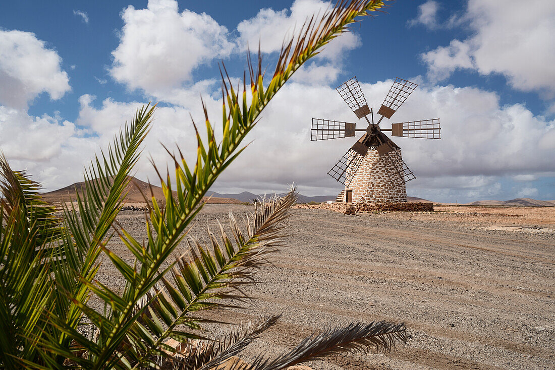 windmill, Tefia, Puerto del Rosario, Fuerteventura, Spain, Europe