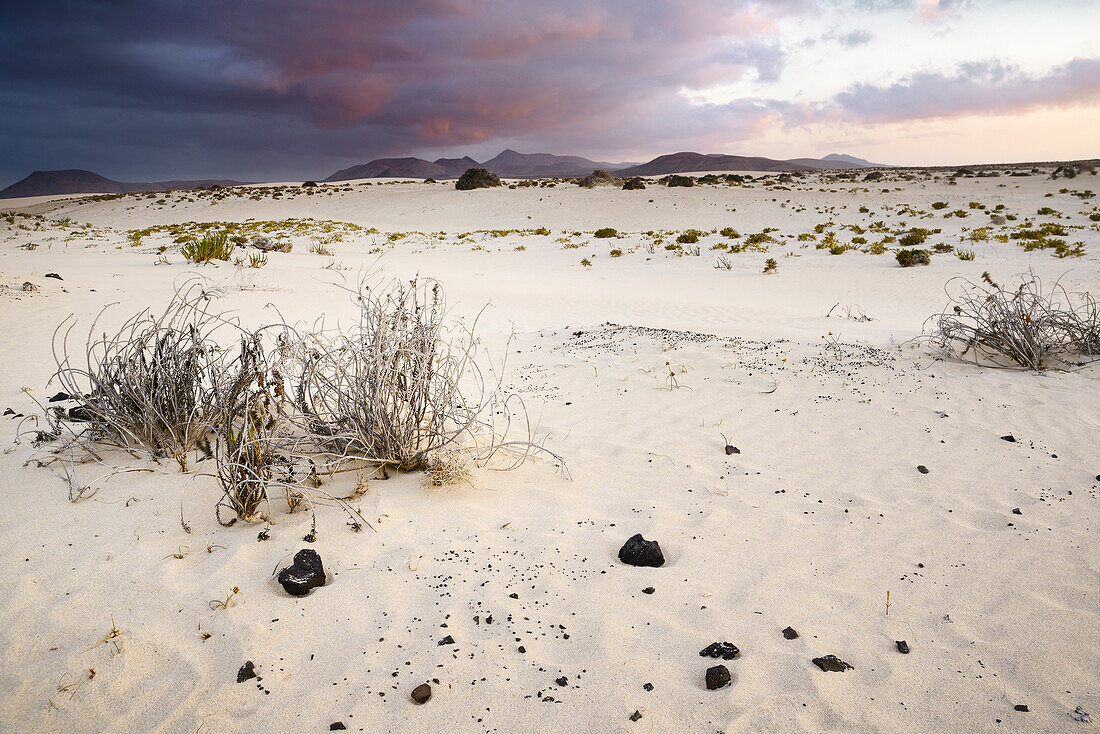 sand dunes, nature reserve, El Jable, Corralejo, La Oliva, Fuerteventura, Spain, Europe
