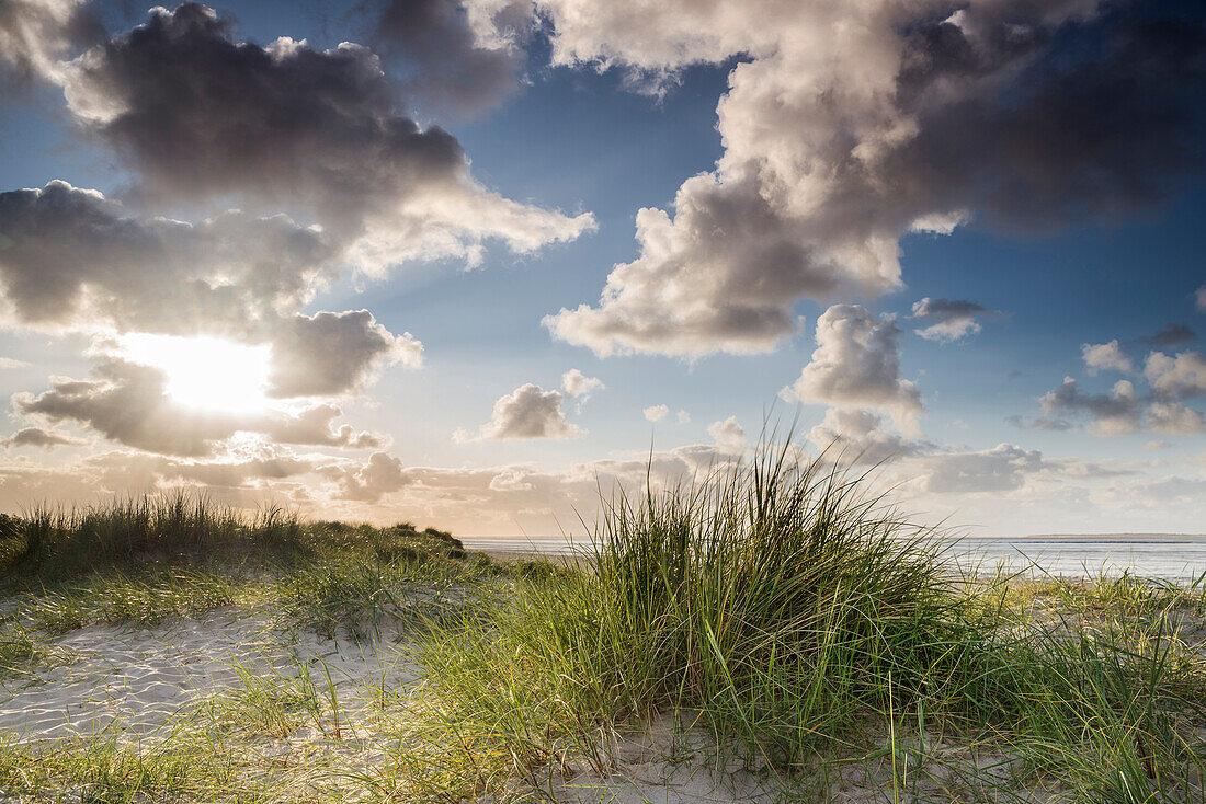 sand dune, marram grass, sky, sunlight, Schillig, Wangerland, Friesland - district, Lower Saxony, Germany, Europe