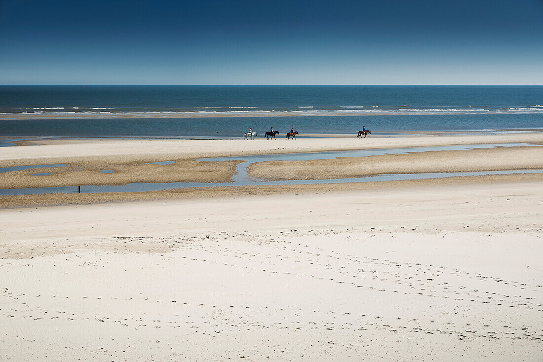 Strand, Pferde, Reiter, Nordsee, Wangerooge, Ostfriesische Inseln, Landkreis Friesland, Niedersachsen, Deutschland, Europa