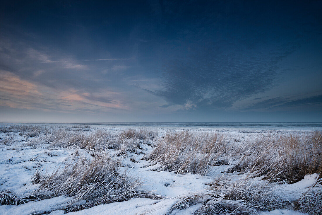 wadden sea, winter, frost, reed, dusk, Dangast, Varel, Friesland - district, Lower Saxony, Germany, Europe