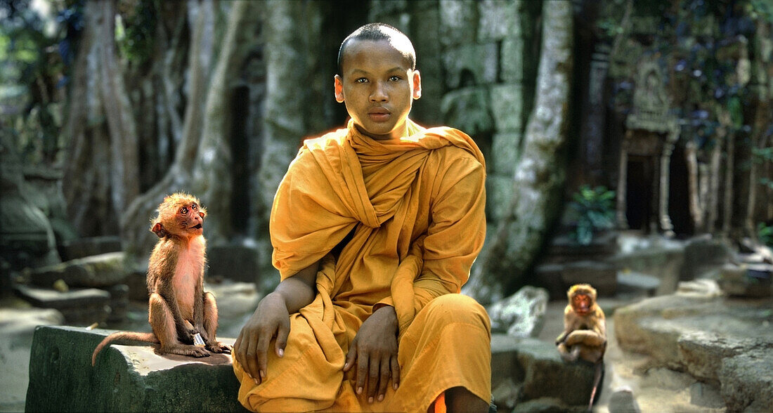 Monk and monkeys outside a temple in Angkor, Angkor, Siem Raep, Cambodia, Asia
