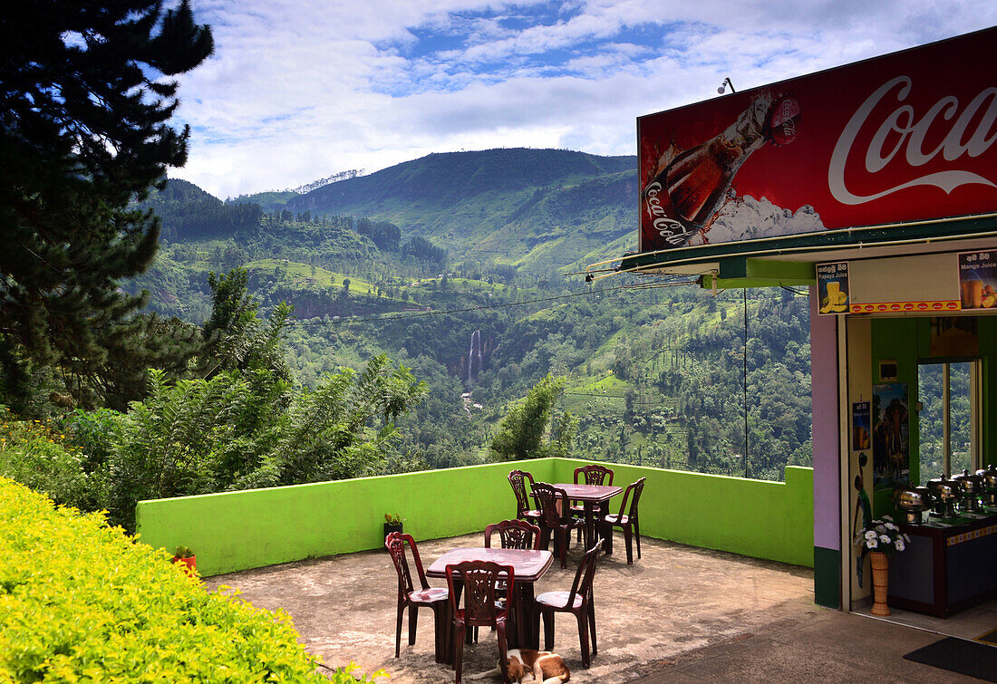 in the mountains near Nuwara Eliya, Sri Lanka