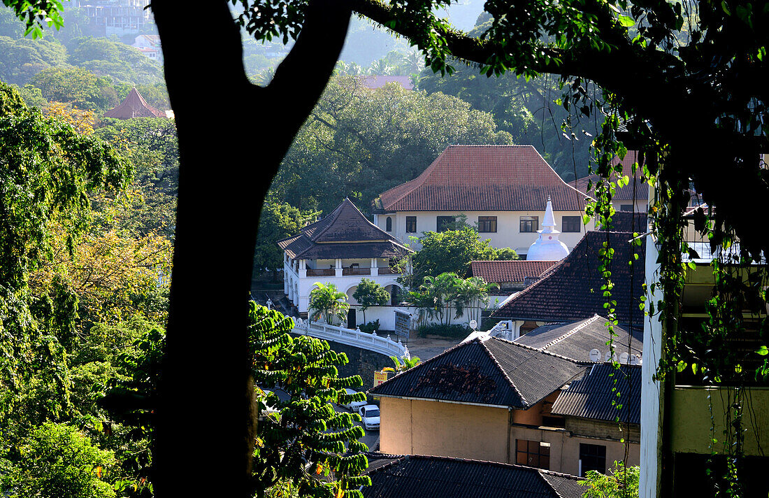 Blick vom Wace-Park über Kandy im Bergland, Sri Lanka