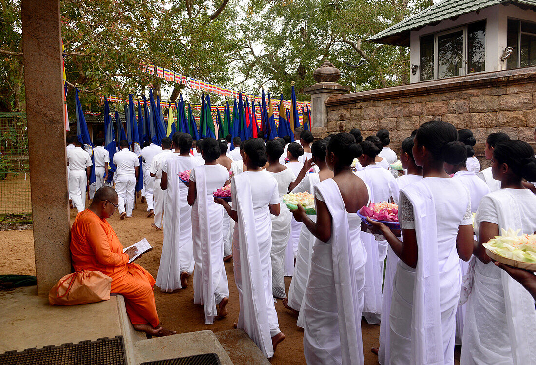 at Sacred Bo-Tree, Anurathapura,north of Sri Lanka