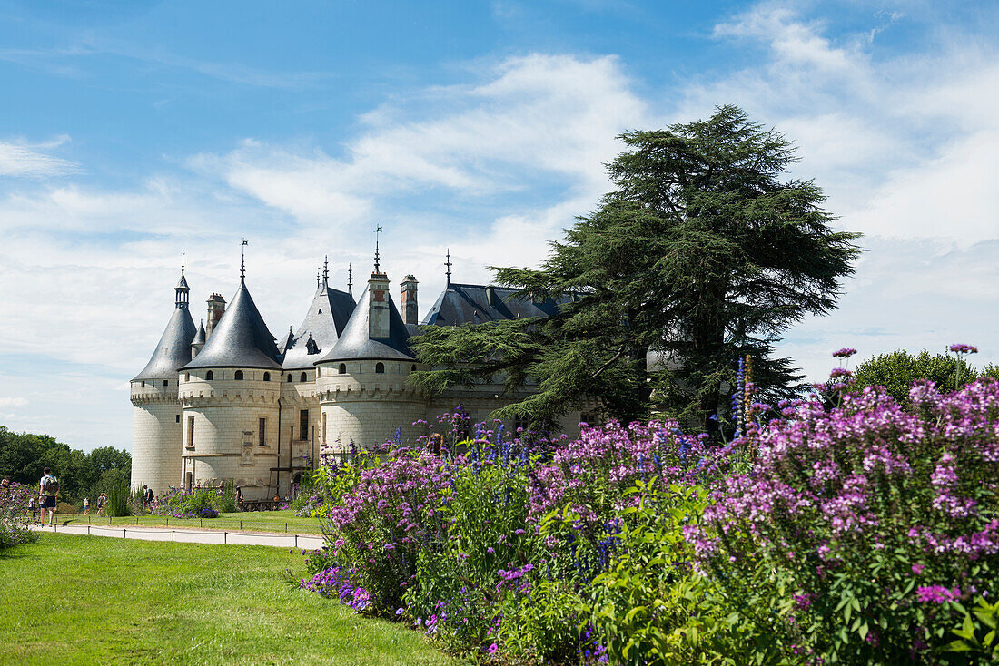 Chaumont Castle with park, Château de Chaumont, Chaumont-sur-Loire, Loire, Département Loir-et-Cher, France