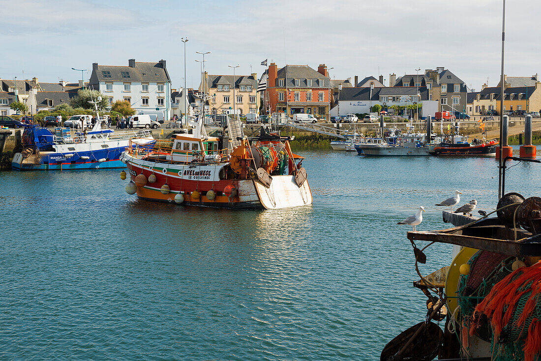 Fischerboote im Hafen, Guilvinec, Finistère, Bretagne, Frankreich