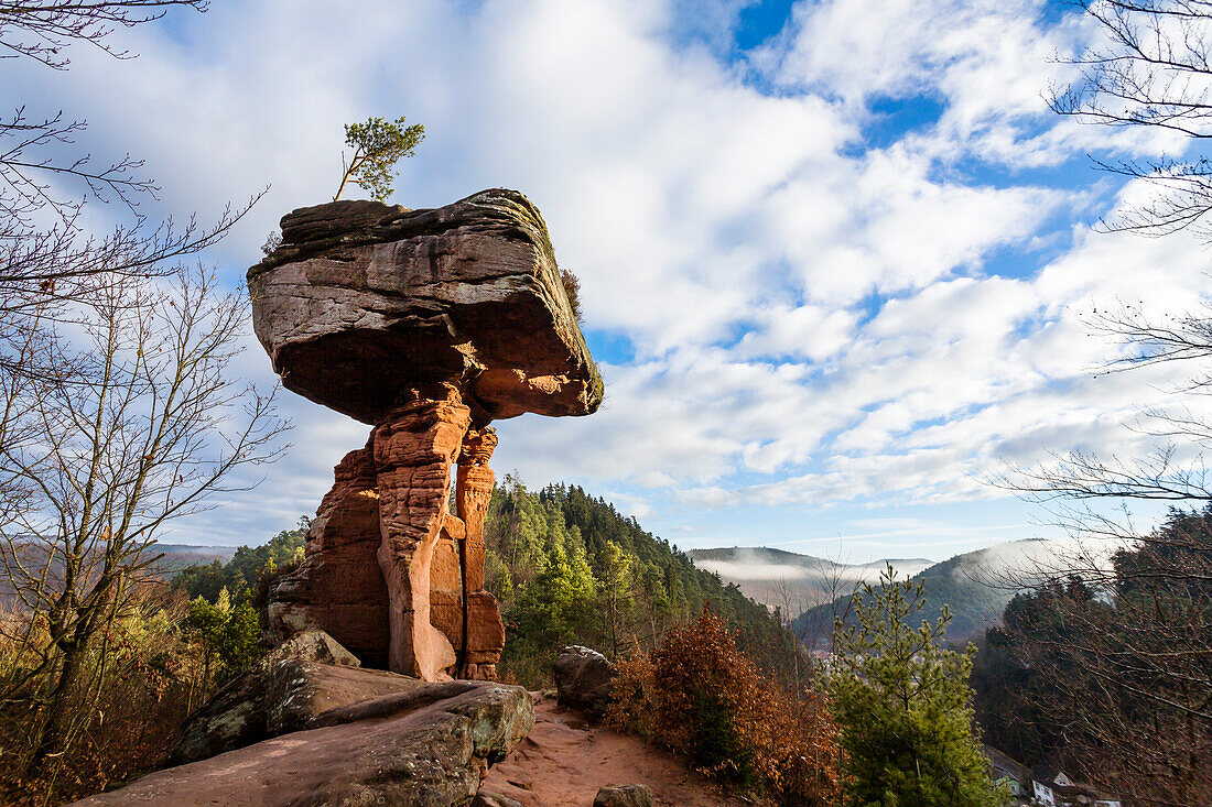 Mushroom shaped rock, Devil’s Table, Hinterweidenthal, Rhineland-Palatinate, Germany, Europe