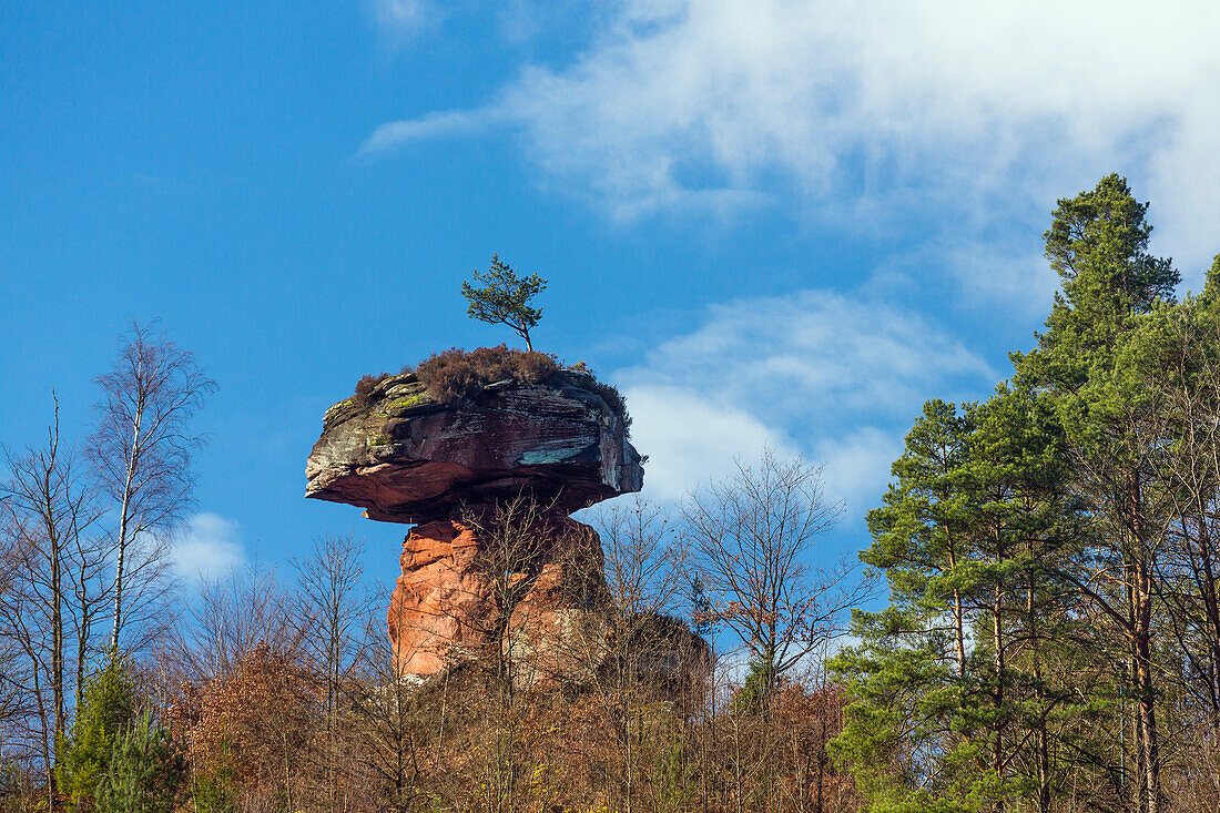 Mushroom shaped rock, Devil’s Table, Hinterweidenthal, Rhineland-Palatinate, Germany, Europe