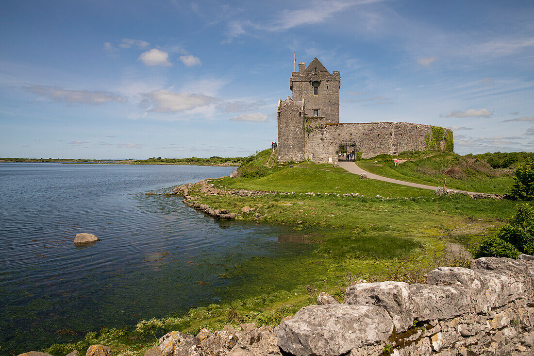 The ruins of Dunguaire Castle sits on the very edge of a bay on the Atlantic Ocean, Dungnaire Castle, County Galway, Ireland, Europe