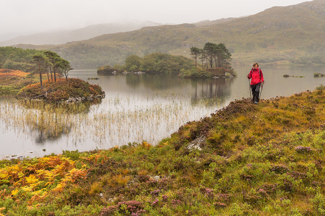 A female walker on the shore of a small lake, Inverpolly Nature Reserve, Highlands, Scotland, UK