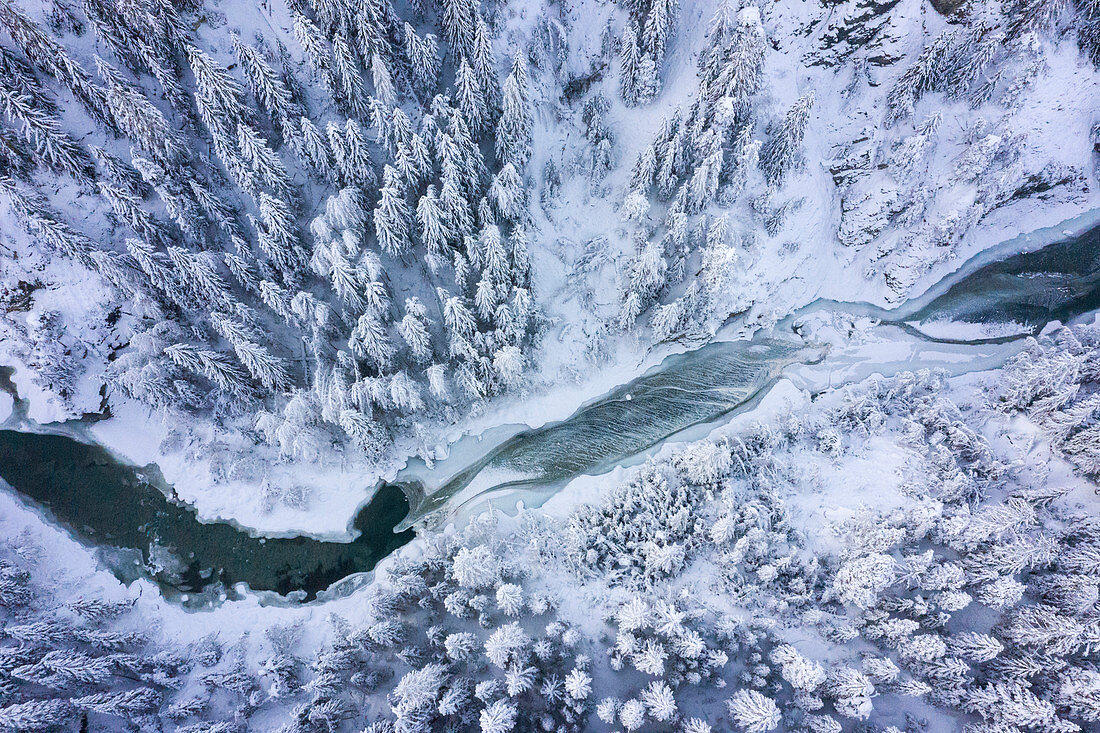 Luftaufnahme des Flusses Inn mit Wald im Winter, Engadin, Graubünden, die Schweiz, Europa