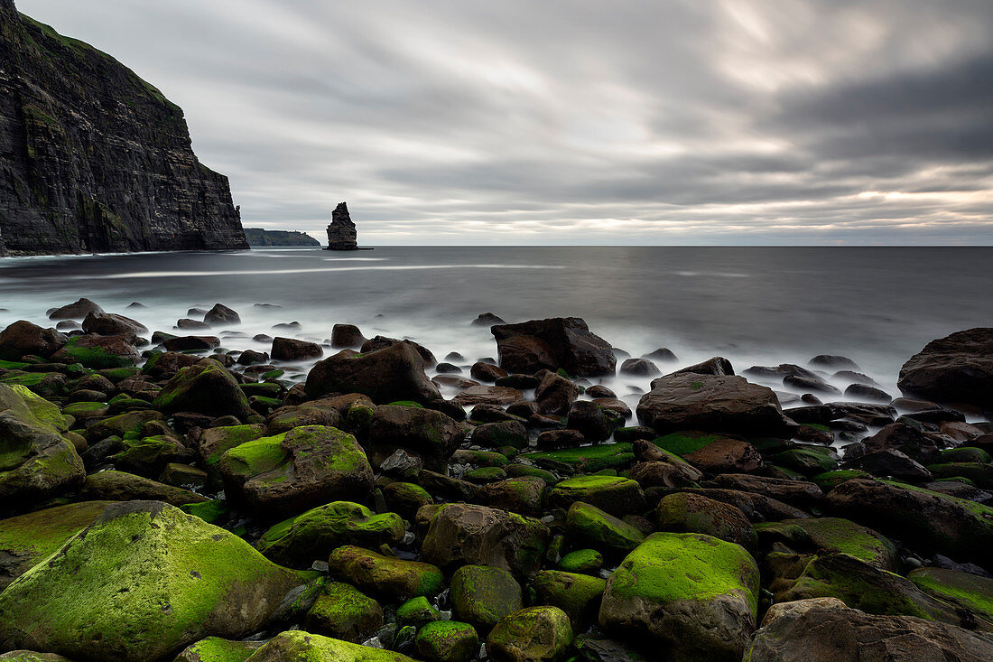 Cliffs of Moher and Breanan mor, municipality of Liscannor, country Clare, Munster province, Shannon, Ireland, Europe 