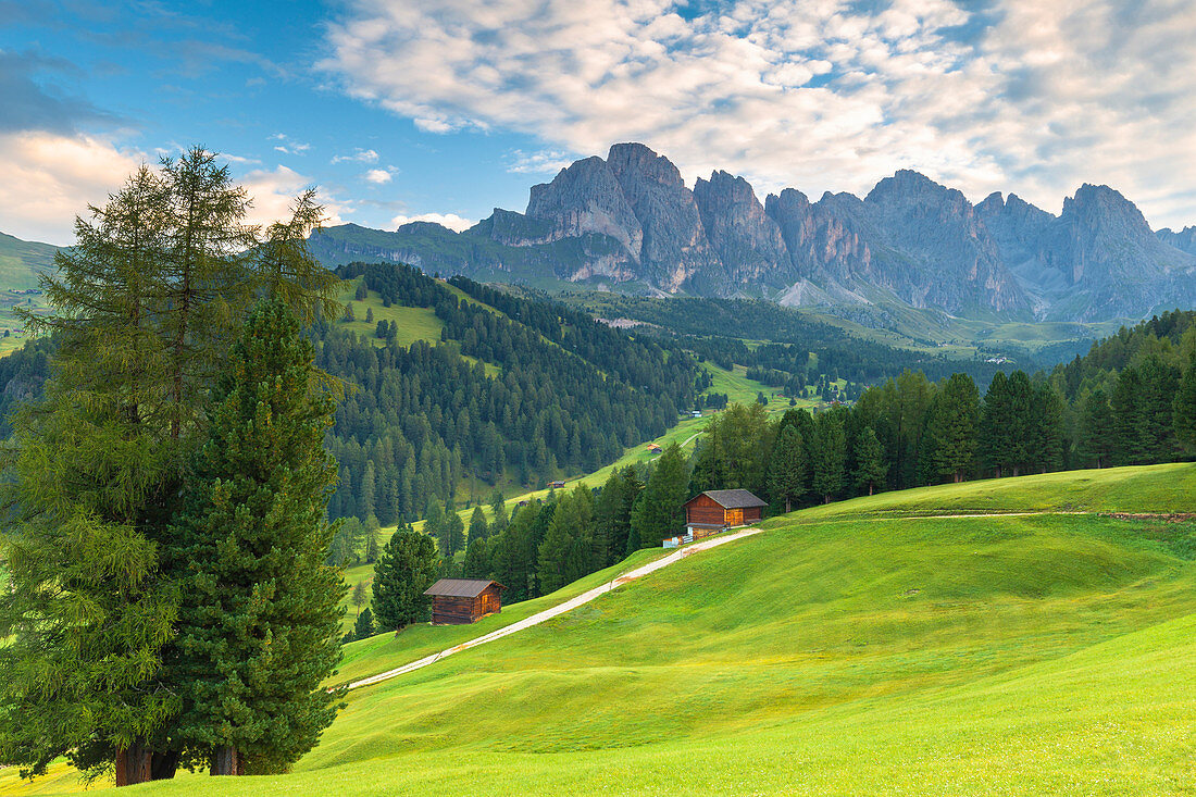 Traditional huts with Odle Group in the background. Daunei, Selva Val Gardena, Gardena Valley, South Tyrol, Dolomites, Italy, Europe.