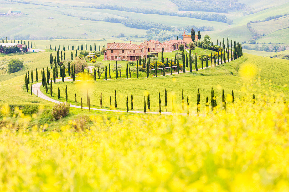 Landhaus Baccoleno im Frühjahr, Asciano, Orcia-Tal, Provinz Siena, Toskana, Italien