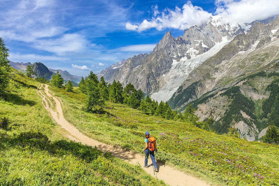 View of the Mont Blanc Massif: a trekker is walking to the Bertone Refuge during the Mont Blanc hiking tours (Ferret Valley, Courmayeur, Aosta province, Aosta Valley, Italy, Europe) (MR)