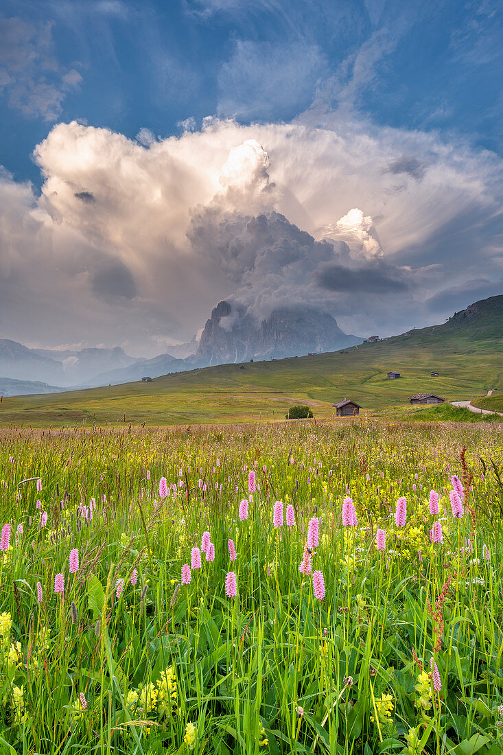 Seiser Alm, Dolomiten, Südtirol, Italien, Cumulonimbus-Wolke über dem Sassolungo