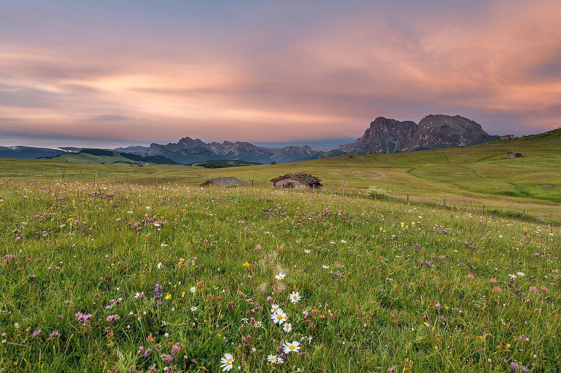 Abenddämmerung über der Seiser Alm mit Blick auf den Geisler und den Sassolungo, Dolomiten, Südtirol, Italien