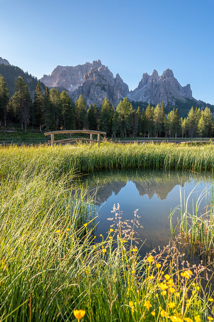 Misurina, Dolomites, province of Belluno, Veneto, Italy. The lake Antorno with Cadini in the background