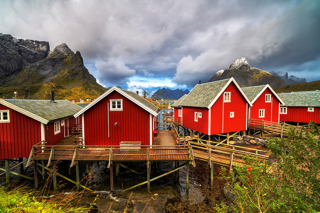 Iconic red fishermen's cabins (Rorbu), Reine, Nordland, Lofoten Islands, Norway
