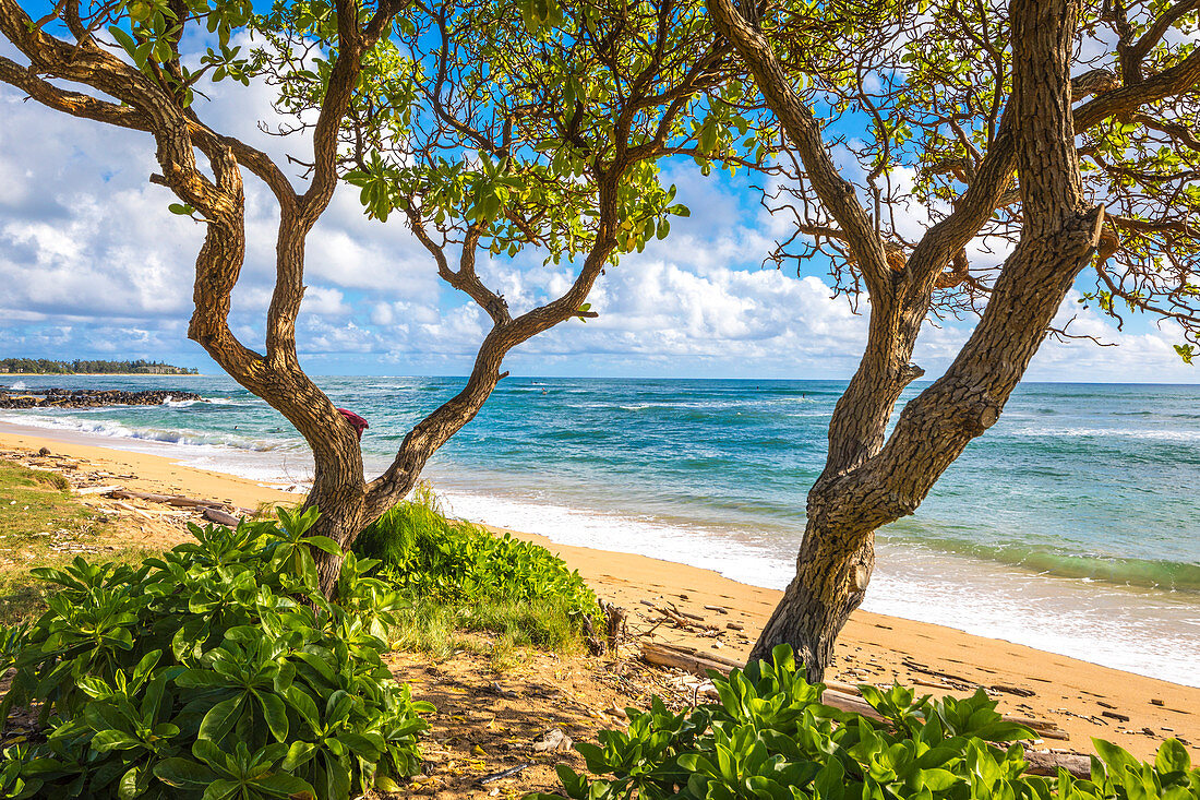 Sonnenaufgang im Kapaa-Strandpark, Kauai-Insel, Hawaii, USA