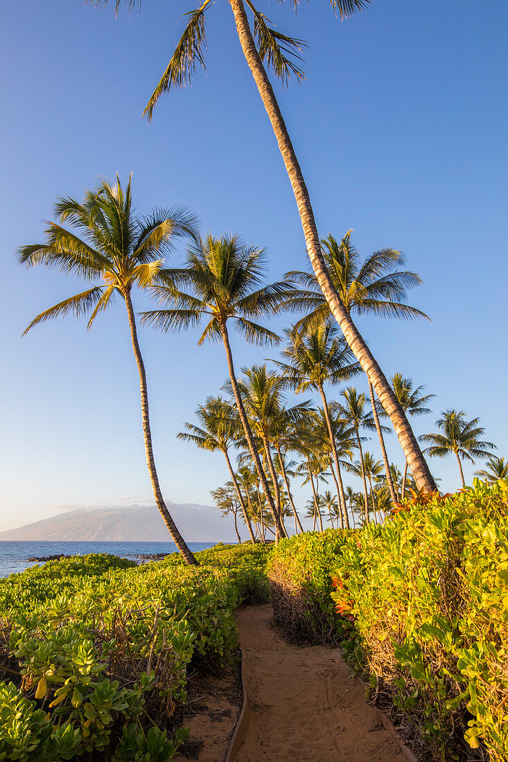 Sunset in Maui near Kihei, Maui Island, Hawaii, USA 