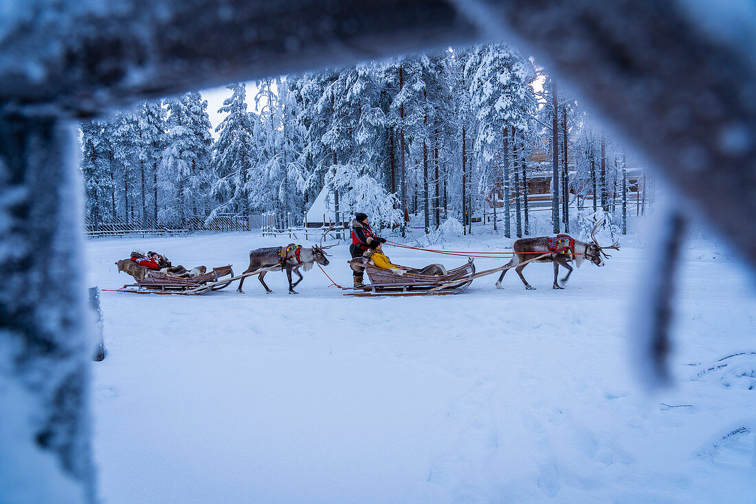 Family in reindeer sledge, Santa Claus Village, Rovaniemi, Lapland, Finland, Europe.