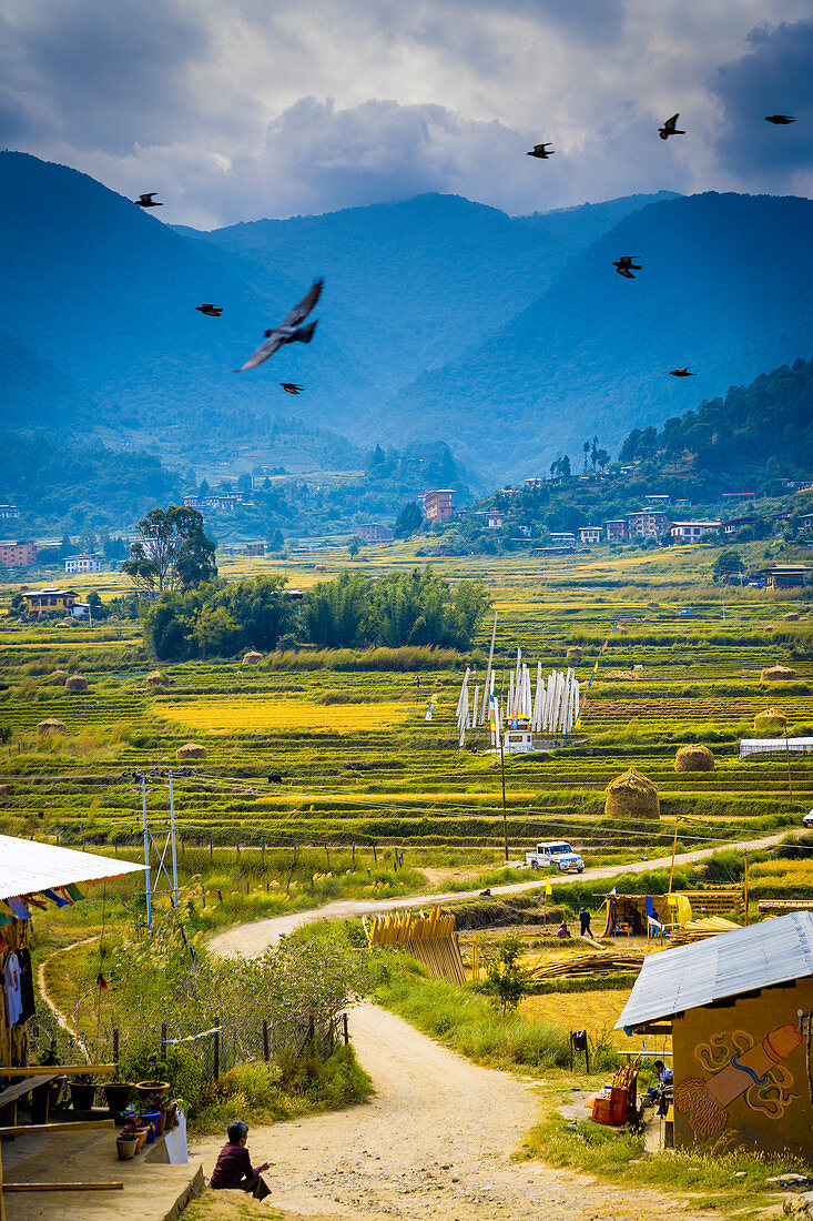 View from Chime Lhakhang monastery. Punakha, Bhutan, Himalayan Country, Himalayas, Asia, Asian.