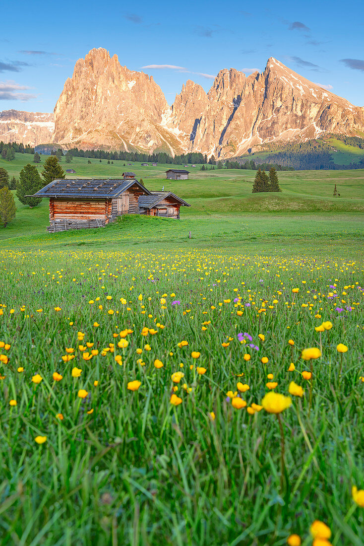 Seiser Alm im Frühling, Italien, Trentino Südtirol,