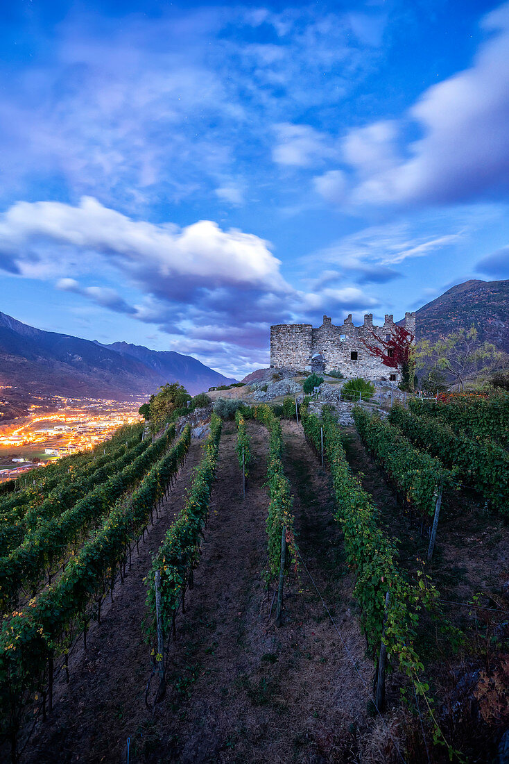 The fortress of Castel Grumello surrounded by vineyards, Montagna in Valtellina, province of Sondrio, Valtellina, Lombardy, Italy